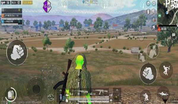 和平精英辅助12月除草