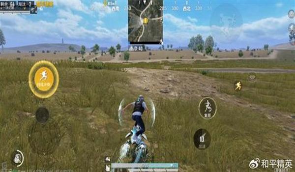 飞智影刺和平辅助精英