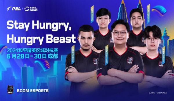 和平精英待补充辅助资料