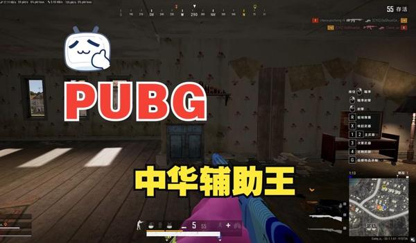 pubg直装辅助