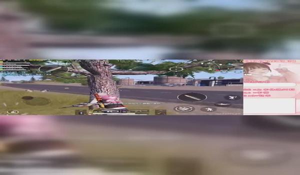 和平精英大鸡腿官网辅助