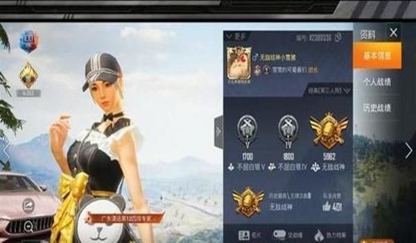 和平精英直装辅助稳定奔放