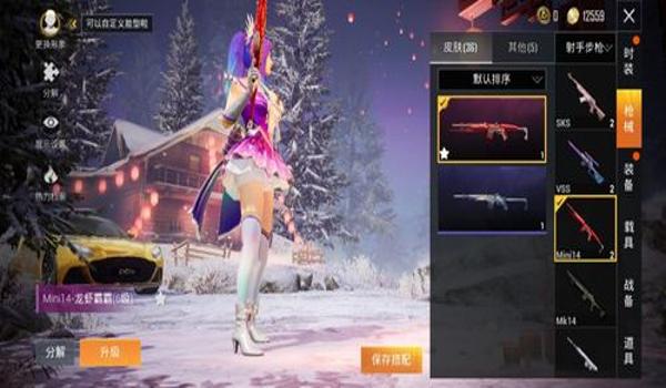 和平精英辅助小柠檬直装