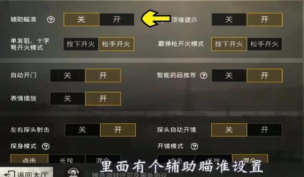 和平精英车辅助瞄准要关嘛