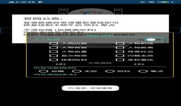 和平精英色彩画面辅助功能